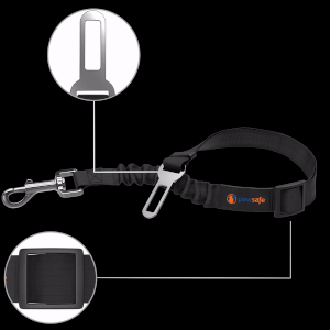 seatbelt-turntable.gif