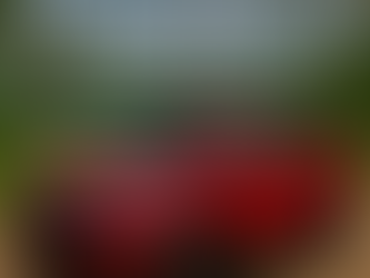 Toyota Hilux Conquest 2021 Red – Pholinas Car Rental