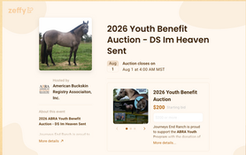 ABRA Youth Benefit Auction