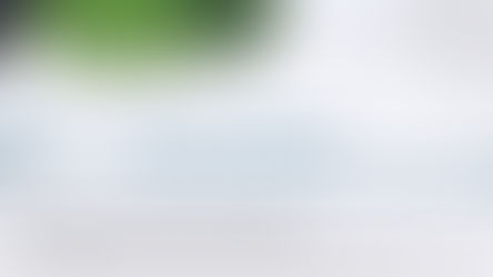 Equine Marketing Services That Help Equine Businesses Stand Out: Welcome Karri Owens Designs