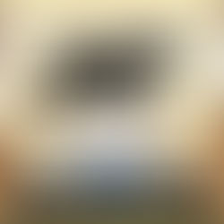 🤠Ranch Horse Demonstration