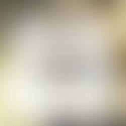 2025 ABRA Honor Roll: Tentative Final Results & Congratulations to Our Champions