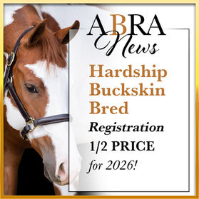 Buckskin Bred Hardship Registration