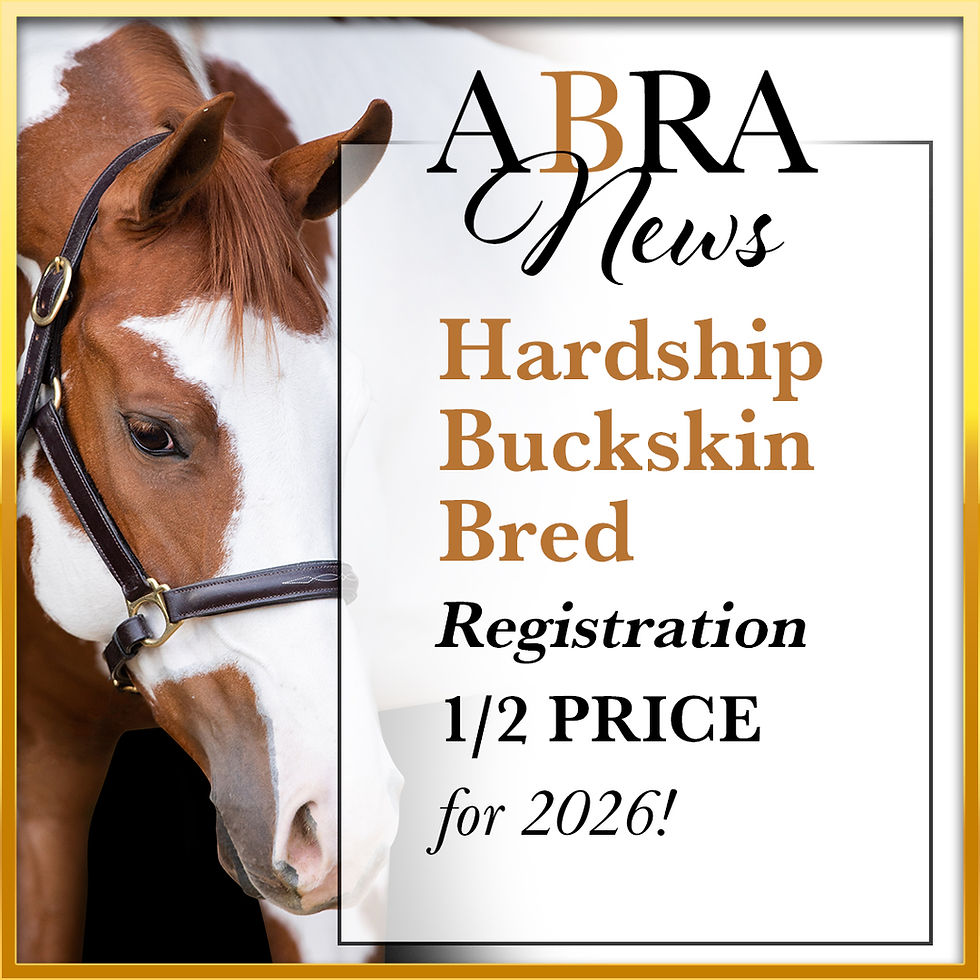 ABRA Buckskin Bred Program - Hardship