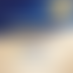 Cross-Industry Experience