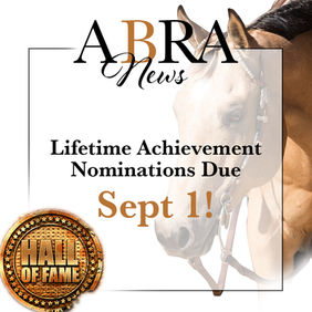 ABRA Lifetime Achievement Award