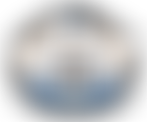 🏆ABRA Minature Horse Horse World Show!🏆