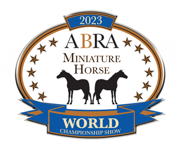 🏆ABRA Minature Horse Horse World Show!🏆