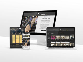 E-Commerce Website Design for Nitro Bulls: From Concept to Launch
