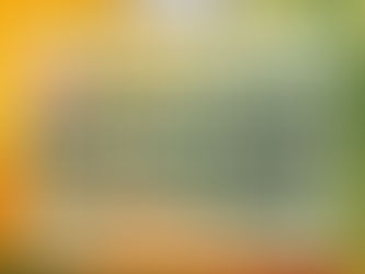 AMRA 501(c)(3) Charitable Donations | Year-End Giving That Matters