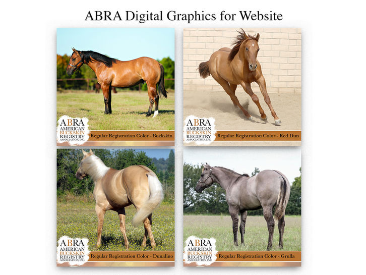 ABRA digital graphics for website