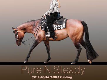 Advertise here for ABRA World Show in July!
