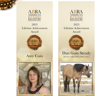 Congratulations to the 2023 Hall of Fame inductees!