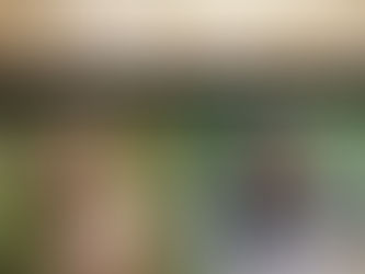 Congratulations for our 2018 YES Winners!