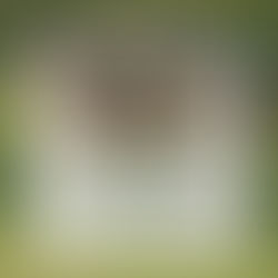 2025 ABRA Board of Directors Election Results