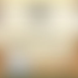 NEW NSBA Rule at the World Show