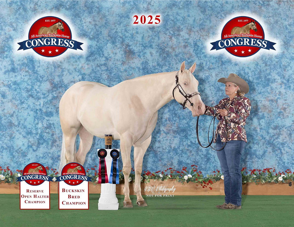 Meet Cash: Featured Through ABRA Horse Advertising