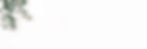 WebsiteBanner-1.jpeg