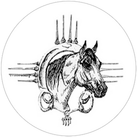 New Mexico Buckskin Horse Association (NMBHA) is an active ABRA Charter Club