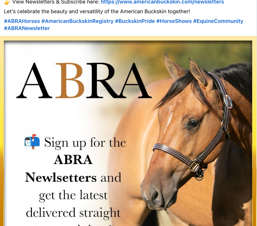 ABRA newsletter sign-up graphic inviting users to subscribe for updates on events, registrations, and horse industry news