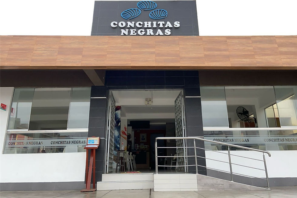 centro_edited.jpg