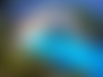 LEADER ΖΑΚΥΝΘΟΥ