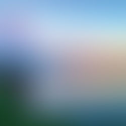 Backtrack Blues Band Takes Center Stage with "A Day By The Bay"