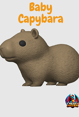 Cute Baby Capybara