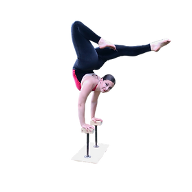 Untitled design (2).png
