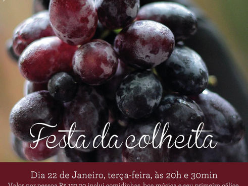 Colheita do Lorita