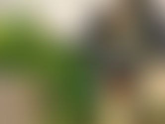 【臨時休業日のお知らせ】