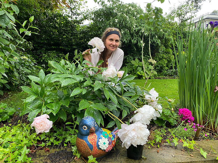 contact garden IMG_8098.jpeg