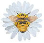 DiasyLogo2_edited.png