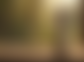 Why Choose Ere Perez Argan Brow Hero? Your Ultimate Ere Perez Brow Enhancer