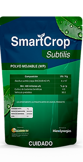 es un biofungicida microbiano formulado con la cepa Bacillus subtilis, que ofrece protección eficaz contra enfermedades fúngi