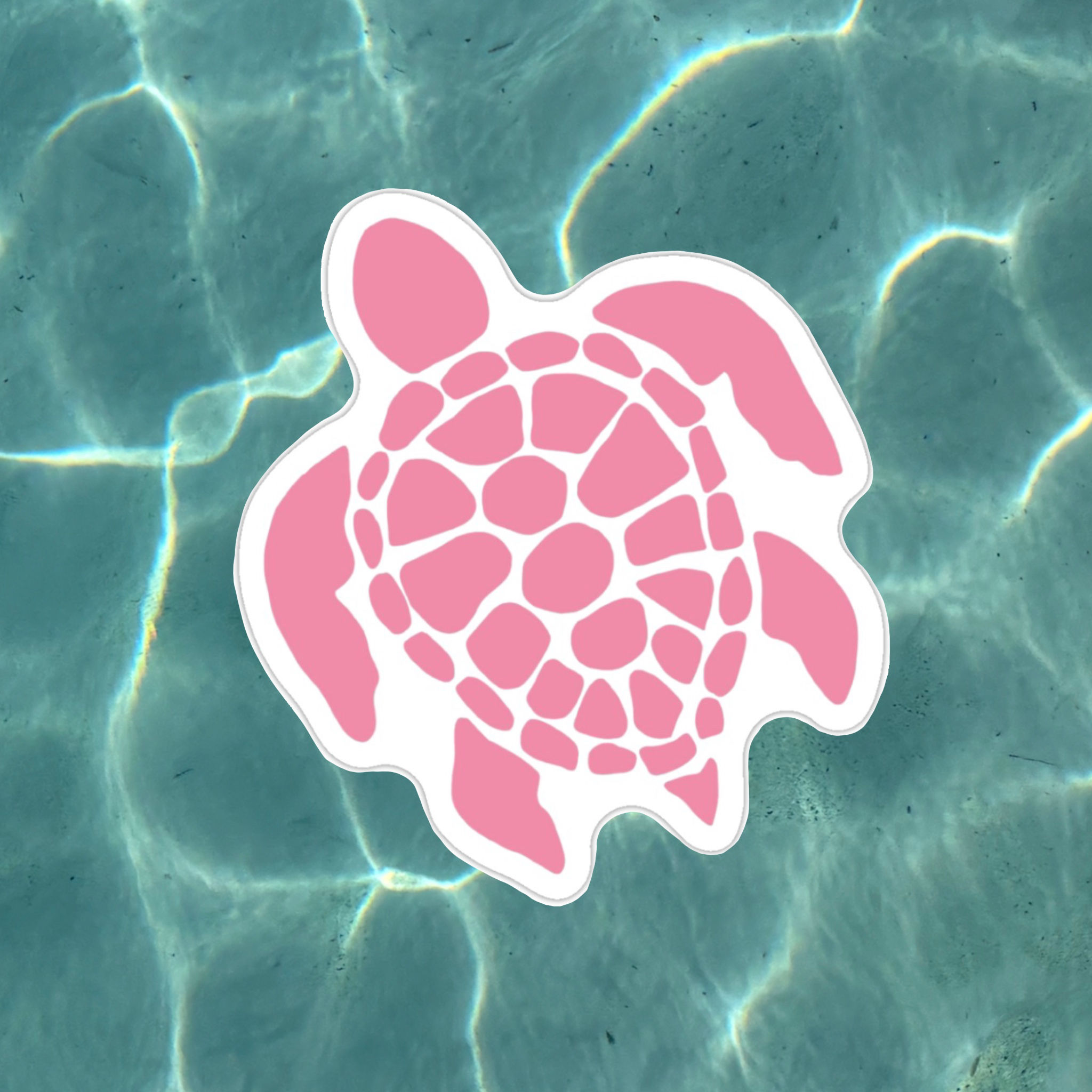 Turtle Stickers