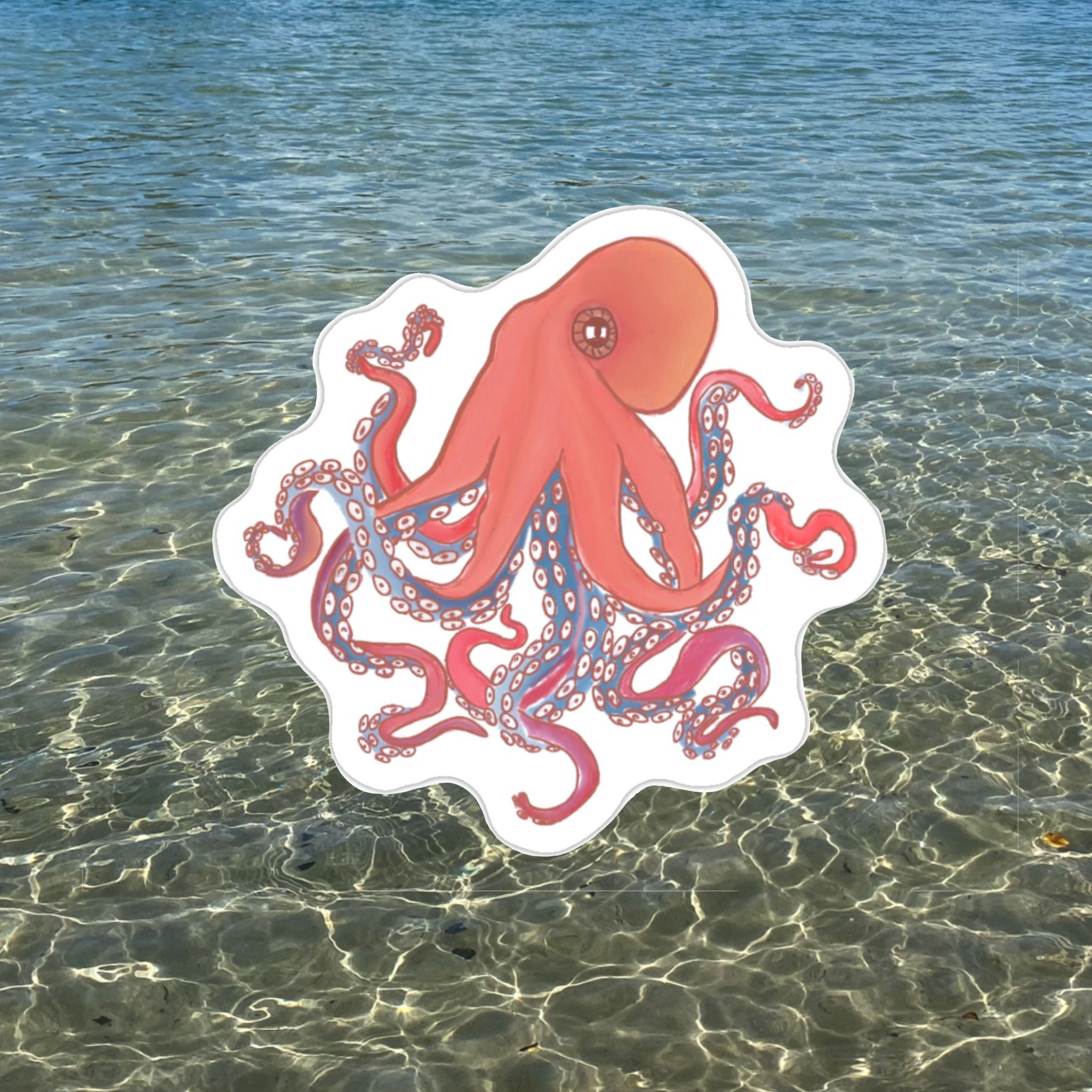 Octopus Stickers