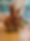 20240917_174635624_iOS.heic