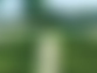 A reminder of God's promise of new and perfect life