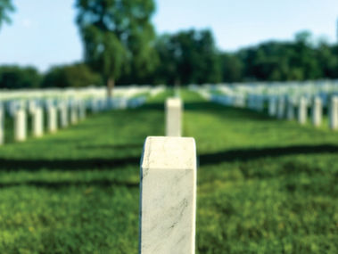 A reminder of God's promise of new and perfect life