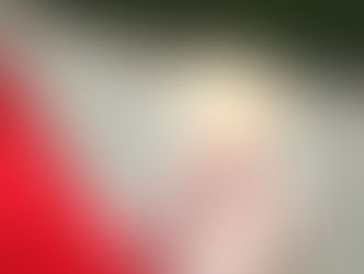 The Eucharist and Liturgy