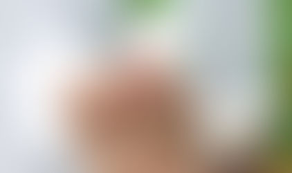 The Eucharist (continued):