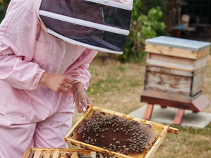 Discover how beekeeping can promote positive mental wellbeing.