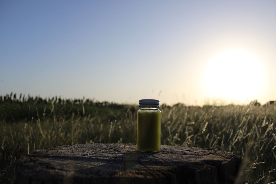 Green juice bottle sunset field