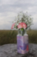 IMG_5235.jpeg