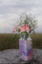 IMG_7394.jpeg