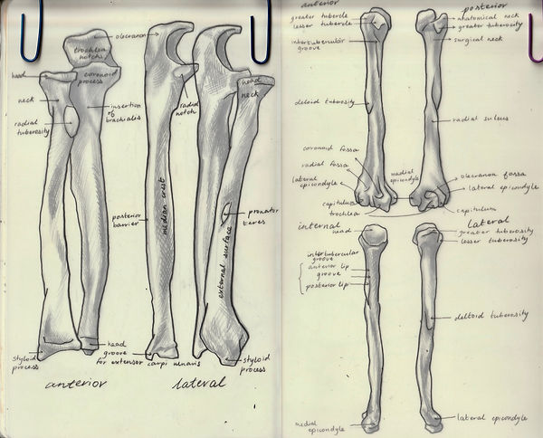 sketchbook3.jpg