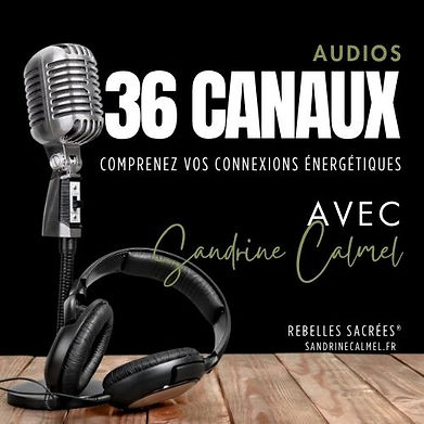 AUDIO 36 canaux | Human Design
