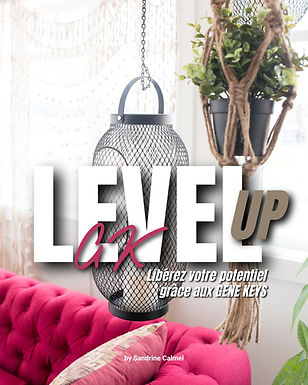 Level Up _ Gene Keys _ Sandrine Calmel