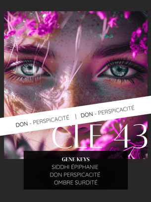 Le Génie qui n’a pas besoin d’être compris Gk 43